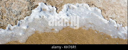 Lake Clifton western Australia und die seltene Kolonie der 6 Kilometer langen thrombolite Stromatolithen lebenden Felsen Strukturen in das schäumende Wasser. Stockfoto