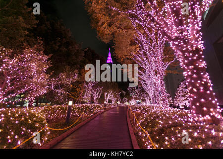 Tokio, Japan. 16.. November 2017. Beleuchtung in Shinjuku Terrace City am 16. November 2017, Tokio, Japan. Shinjuku Terrace City Illuminationen sind rund um die Odakyu Line Shinjuku Station zu sehen. In diesem Jahr findet die 12.. Illumination statt, die bis zum 22. Februar 2018 zu genießen ist. Quelle: Rodrigo Reyes Marin/AFLO/Alamy Live News Stockfoto