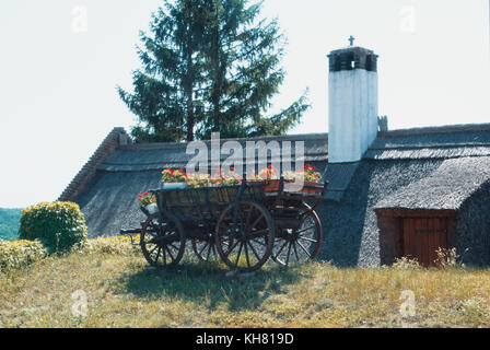 Eine alte vintage Holz Karre mit leuchtend roten Blüten stehen auf einem grünen grasbewachsenen Hügel neben dem Strohdach eines traditionellen ungarischen Dorf gefüllt Stockfoto