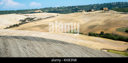 Landschaft mit Feldern, die in der Toskana, in der Nähe von San Quirico in Italien Anfang im Herbst Stockfoto