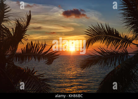 Ozean Sonnenuntergang über Palm Blätter sichtbar Stockfoto