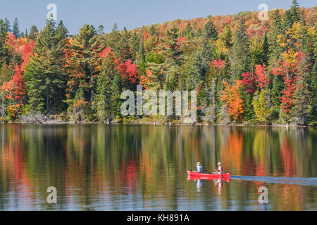 Kanufahrer auf Tee See, Algonquin Provincial Park, Ontario, Kanada Stockfoto