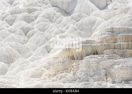 Abstrakte weiße Textur Hintergrund. Travertin Terrasse, Mammoth Hot Springs, Yellowstone. Stockfoto