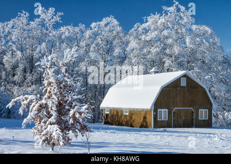 Nach einem Eisregen, in der Nähe von Goderich, Ontario, Kanada Stockfoto