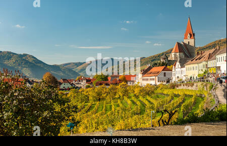 Weissenkirchen in der Wachau Österreich Weinberge im Herbst blue sky farbige Blätter Stockfoto