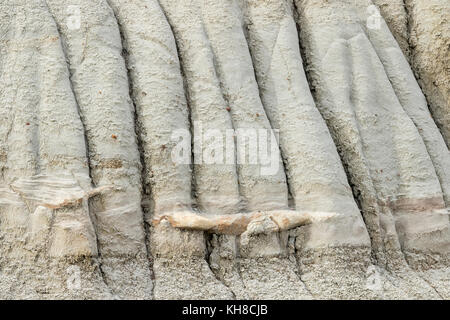 Erosion Muster, Dinosaur Provincial Park, Alberta, Kanada. Stockfoto