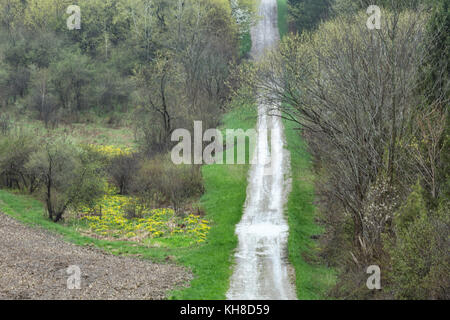 Ball's Line, Huron County, Ontario, im frühen Frühling. Stockfoto