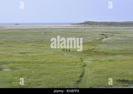 De Slufter ein Naturschutzgebiet auf Texel, Niederlande Stockfoto