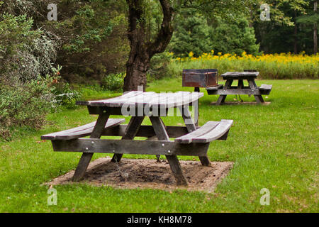 Picknick-Tische Stockfoto