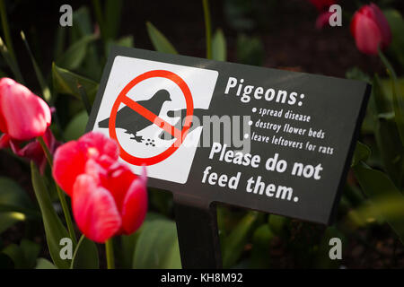 Nicht Füttern tauben Zeichen Stockfoto