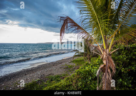 Jamaika tropischen Gewässern grünes Paradies Stockfoto