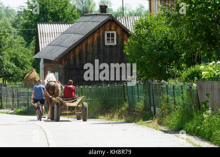 Dorf Cacica im Nordosten Rumänien (Bukowina). Zwei Jungen, ein Pferd gezogen Warenkorb Stockfoto