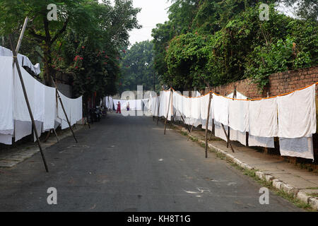 Dryings Kleidung und Blätter auf den Straßen von Delhi, Indien. Stockfoto