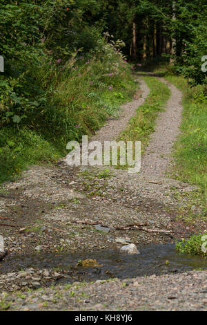 Fernwanderweg Selketal-Stieg Stockfoto