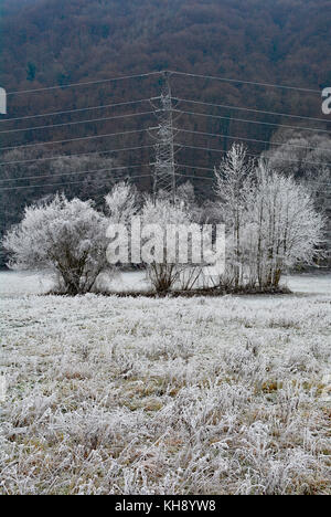 Bäume im Raureif in der Nähe von tolmin in primorska, Slowenien. Stockfoto