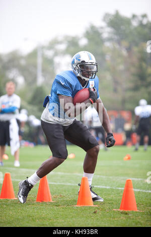 Allen PARK, MICHIGAN - 14. AUGUST: Die NFL Football Detroit Lions üben in ihrem Trainingslager in allen Park, Michigan. August 2012. © Joe Gall/MediaPunch Inc Stockfoto