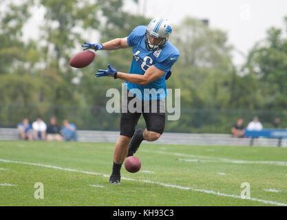 Allen PARK, MICHIGAN - 14. AUGUST: Die NFL Football Detroit Lions üben in ihrem Trainingslager in allen Park, Michigan. August 2012. © Joe Gall/MediaPunch Inc Stockfoto