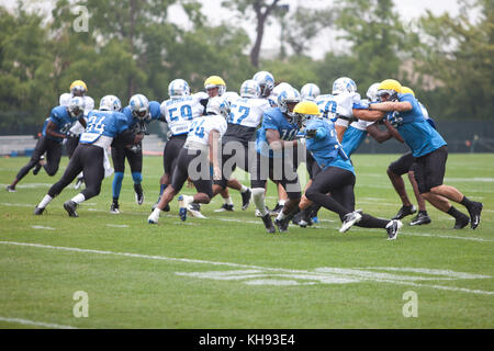 Allen PARK, MICHIGAN - 14. AUGUST: Die NFL Football Detroit Lions üben in ihrem Trainingslager in allen Park, Michigan. August 2012. © Joe Gall/MediaPunch Inc Stockfoto