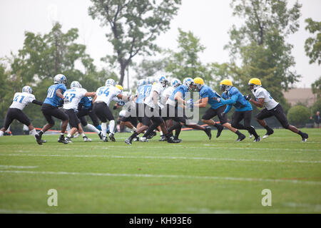 Allen PARK, MICHIGAN - 14. AUGUST: Die NFL Football Detroit Lions üben in ihrem Trainingslager in allen Park, Michigan. August 2012. © Joe Gall/MediaPunch Inc Stockfoto