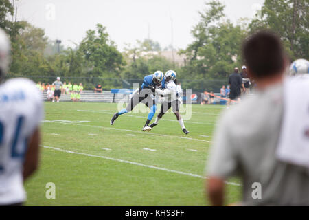 Allen PARK, MICHIGAN - 14. AUGUST: Die NFL Football Detroit Lions üben in ihrem Trainingslager in allen Park, Michigan. August 2012. © Joe Gall/MediaPunch Inc Stockfoto