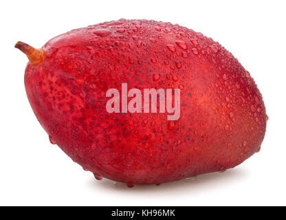 Mango Pfad isoliert Stockfoto