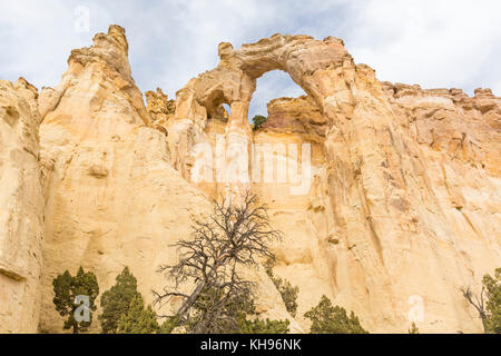 Grosvenor Arch Double Arch aus der cottonwood Canyon Road im Grand Staircase Escalante National Monument in der Nähe von Utah. Stockfoto