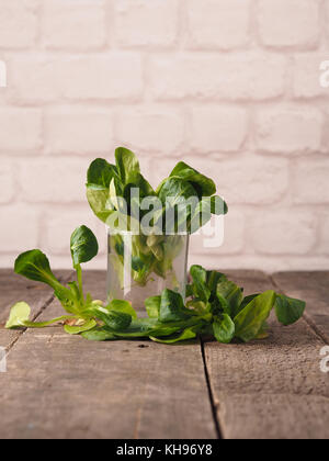 Frische organische Papiermache in einem Glas auf eine rustikale Küche aus Holz Tisch, gesundes Essen Konzept Stockfoto