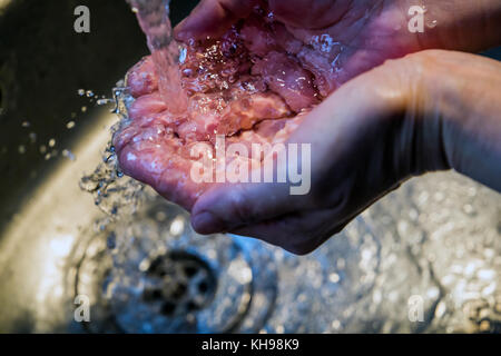 Nahaufnahme der Frau Waschen der Hände in einer Küche Waschbecken (Kühlkörper) Stockfoto