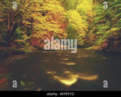 Lebendige Herbst. Farben der herbstlichen Fluss im Wald. Farbenfrohe Banken mit Blätter, Blätter Bäume gebeugt über dem Fluss. Stockfoto