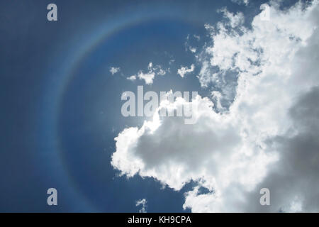 Ring Halo in den blauen Himmel, die Sonne wird durch eine weiße Wolke. Stockfoto