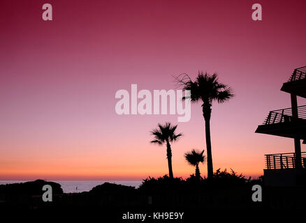 Erstaunlich Seascape in Sonnenuntergang. Palmen Silhouette. kopieren. Stockfoto