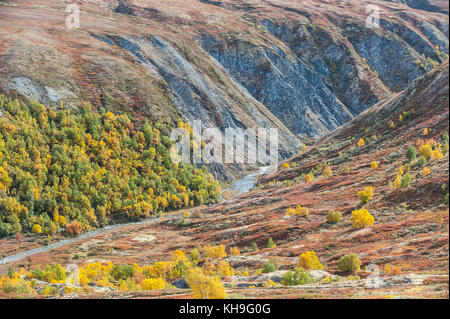 Canyon und Rivulet in den norwegischen Bergen. Rondane, Norwegen Stockfoto