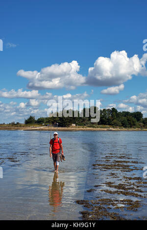 Über den Tidendamm der Ile de Tascon im Golf von Morbihan in der Bretagne. Stockfoto