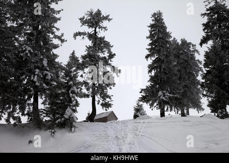 Alte frosty Holzhütte und verschneiten Wald im Winter Schnee Berge mit grauem Nebel Himmel. der Ukraine Karpaten. entfernten Standort. Stockfoto