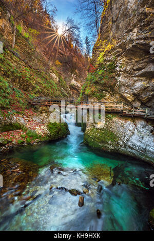 Bled, Slowenien - Der schöne Canyon der Vintgar Gorge mit Holzbrücke und Bach in der Nähe von Bled, Triglav Stockfoto