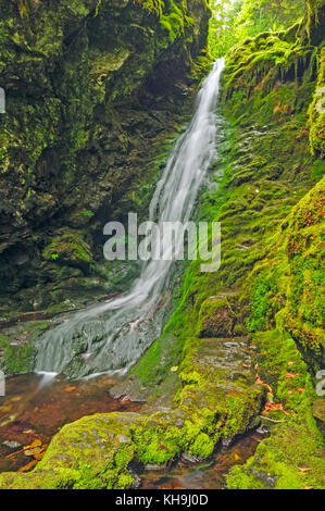 Dickson fällt in den Fundy National Park Stockfoto