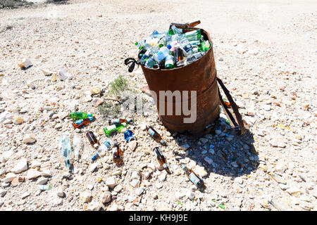 Bin überfüllt mit Bierflaschen, New South Wales, NSW, Australien Stockfoto