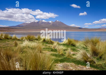 Altiplano Laguna in Sud lipez reserva Eduardo Avaroa, Bolivien Stockfoto