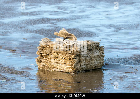 Verworfen Kunststoffprodukte gewaschen bis zum Strand in Southport, Merseyside. Stockfoto