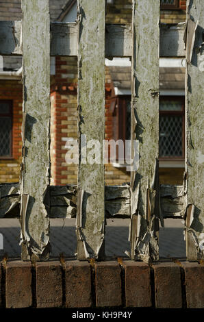Peeling Risse im Lack auf Holz Zaun Lamellen, die verzweifelt Aufmerksamkeit und Renovierung, um es zu verderben verhindern Stockfoto