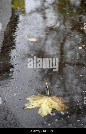 Große graue Pfütze mit verschwommene Spiegelungen der Bäume und ein großes gelbes Ahornblatt im Vordergrund. Stockfoto