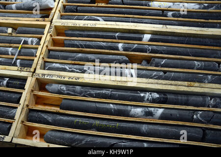 Rock core Samples von einer Bergbau Exploration Company Kundenakquise für Gold, in der Nähe von Stewart, British Columbia, Kanada. Stockfoto