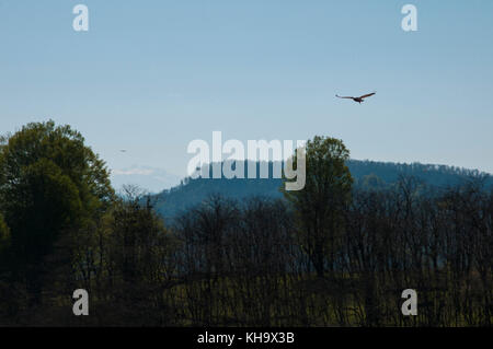 Wenn Sie die schöne Aussicht auf die Innenstadt von Los Angeles frei zu haben, können Sie Vista Hermosa natürlichen Park gehen und genießen. Stockfoto