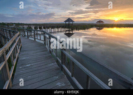 Bung bua im Khao Sam Roi Yod Nationalpark, Thailand Stockfoto