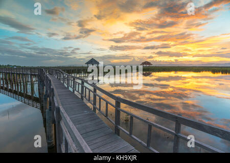 Bung bua im Khao Sam Roi Yod Nationalpark, Thailand Stockfoto