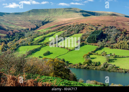 Blick auf die Höhe von Waun Rydd Brecon Beacons South Wales an einem hellen sonnigen Oktobertag Stockfoto