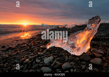 Growler am Strand bei Sonnenaufgang, Jökulsárlón, Island Stockfoto