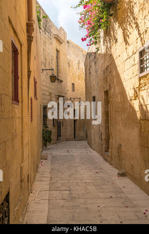 Schmale Gasse zwischen den alten Häusern, Mdina, Malta Stockfoto