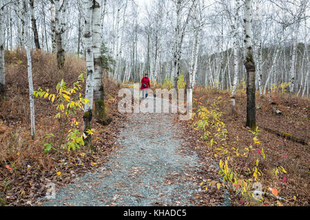 Wandern mit Hund in Kivi Park, Sudbury, Ontario, Kanada Stockfoto