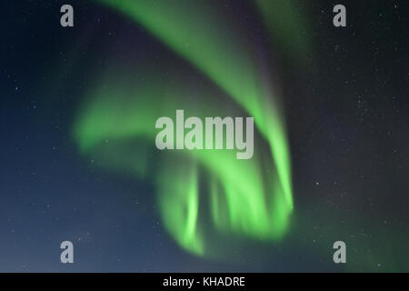 Northern Lights in der Abisko Nationalpark, Schweden Stockfoto